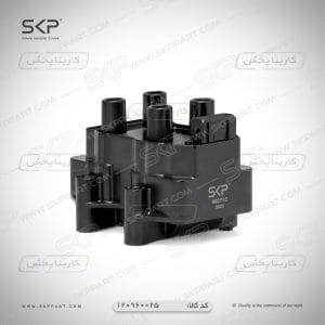 کوئل دوبل ساژم